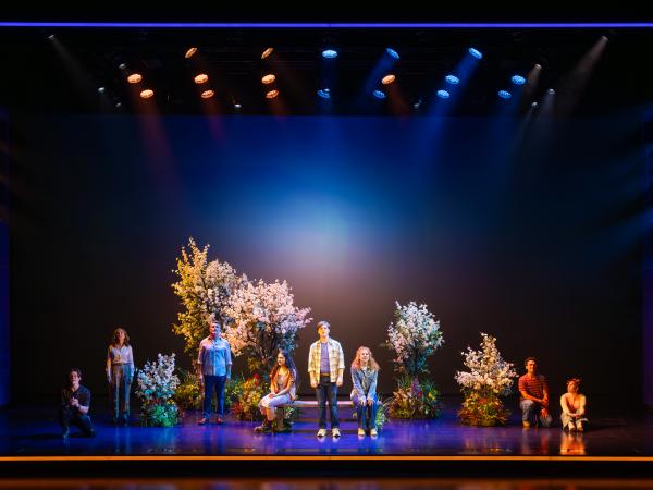 Dear Evan Hansen Performance